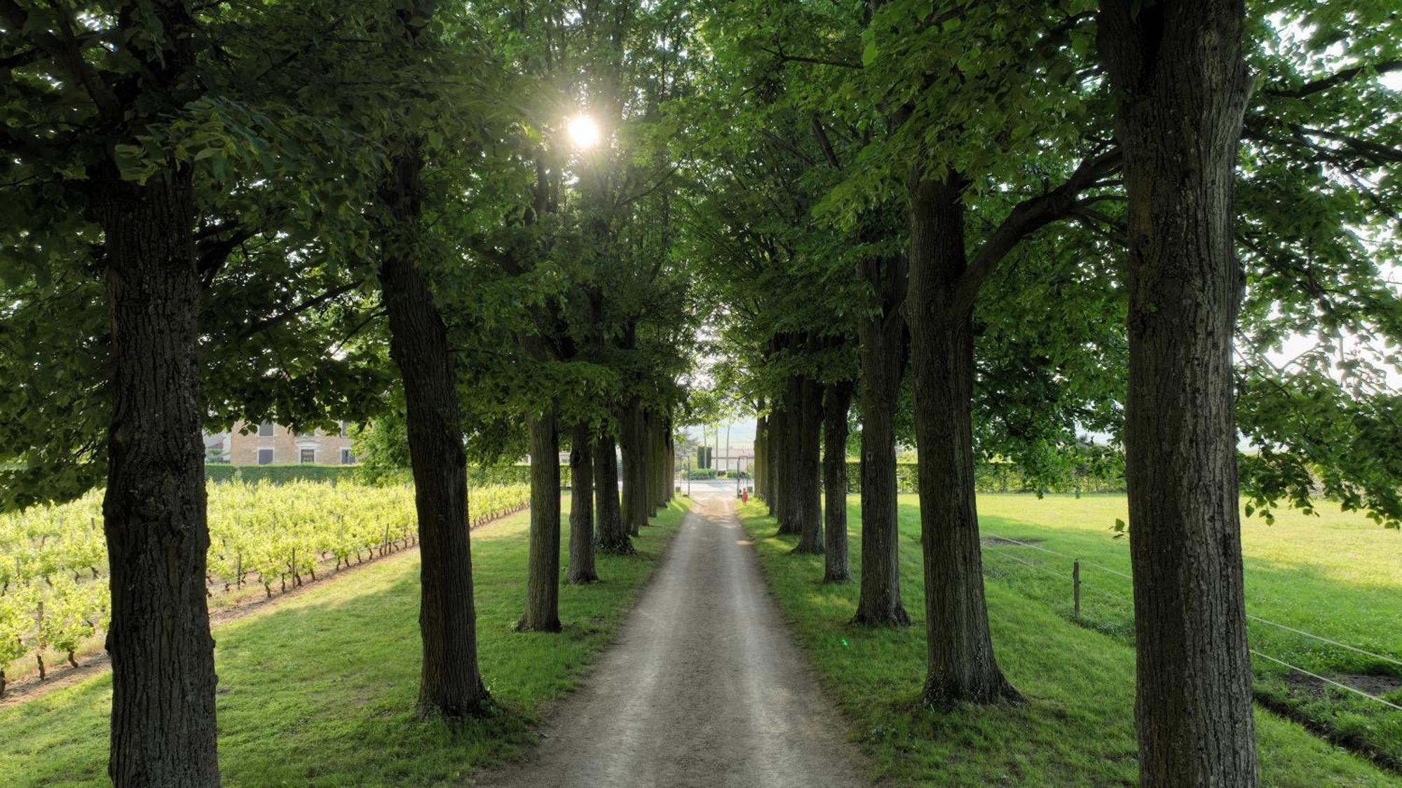 Domaine De Montclair Pommiers (Rhone) Exterior foto